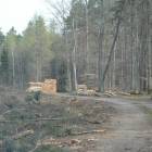 zdjęcie nr 19
