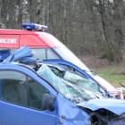Fotka nr 3 z 17