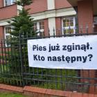 zdjęcie nr 12