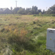zdjęcie nr 