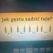 zdjęcie nr 