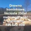 zdjęcie nr 