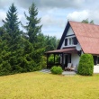 zdjęcie nr 