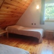 zdjęcie nr 