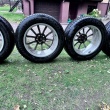 zdjęcie nr 