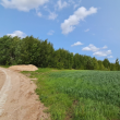zdjęcie nr 