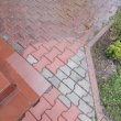 zdjęcie nr 