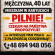 zdjęcie nr 