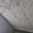 zdjęcie nr 