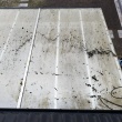 zdjęcie nr 