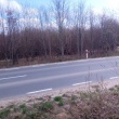 zdjęcie nr 
