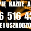 zdjęcie nr 