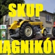 zdjęcie nr 