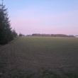 zdjęcie nr 