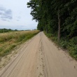 zdjęcie nr 