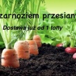 zdjęcie nr 