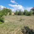 zdjęcie nr 