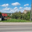 zdjęcie nr 