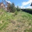 zdjęcie nr 