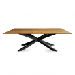 zdjęcie nr 