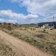 zdjęcie nr 