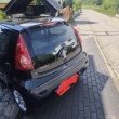 zdjęcie nr 