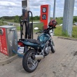 zdjęcie nr 