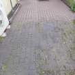 zdjęcie nr 