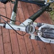 zdjęcie nr 
