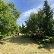 zdjęcie nr 
