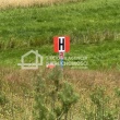 zdjęcie nr 
