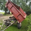 zdjęcie nr 