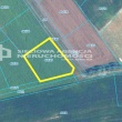 zdjęcie nr 