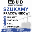 zdjęcie nr 