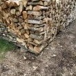 zdjęcie nr 