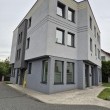 zdjęcie nr 