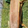 zdjęcie nr 