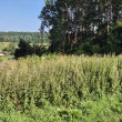 zdjęcie nr 
