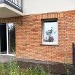 zdjęcie nr 
