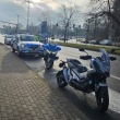 zdjęcie nr 