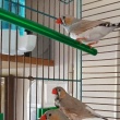 zdjęcie nr 