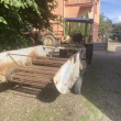 zdjęcie nr 