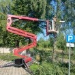 zdjęcie nr 