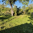 zdjęcie nr 