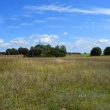 zdjęcie nr 