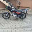 zdjęcie nr 