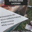 zdjęcie nr 