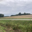 zdjęcie nr 