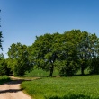 zdjęcie nr 