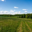 zdjęcie nr 